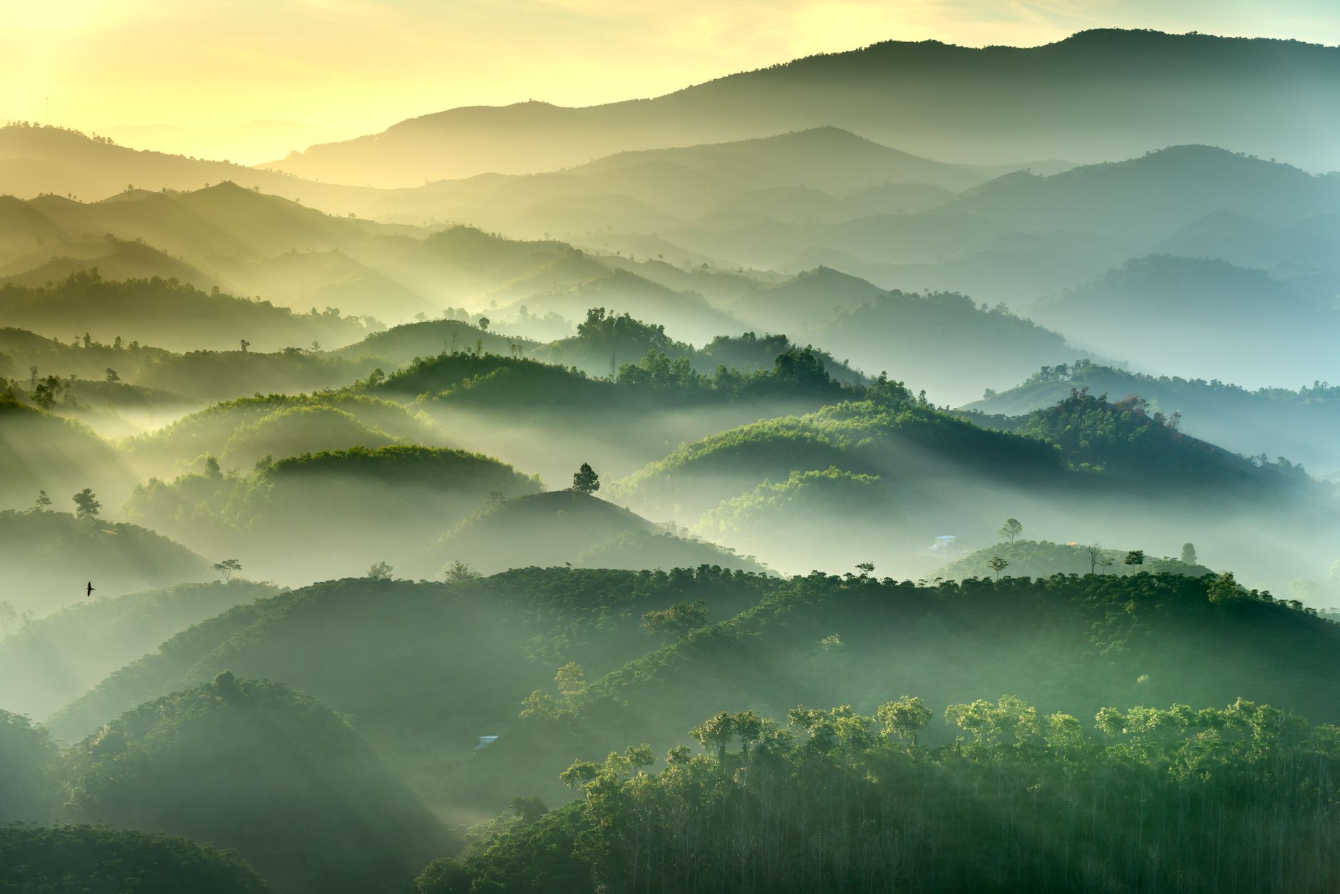 Expansive alpine mountain landscape at sunrise